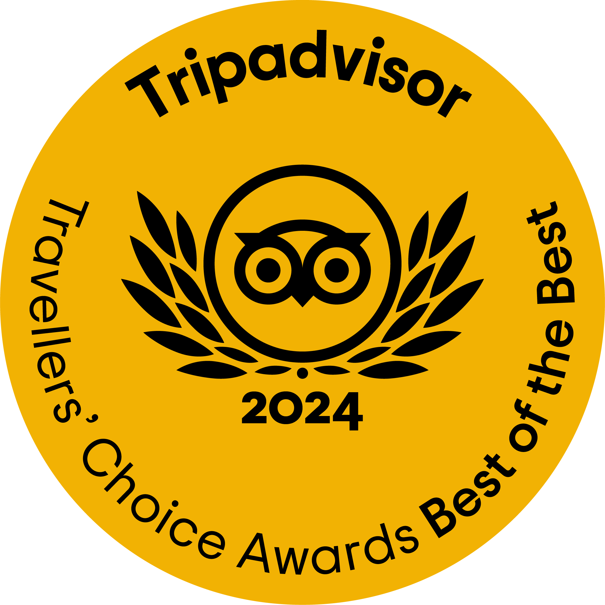 TripAdvisor Award